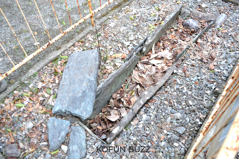 DSC_0881 _edited.jpg