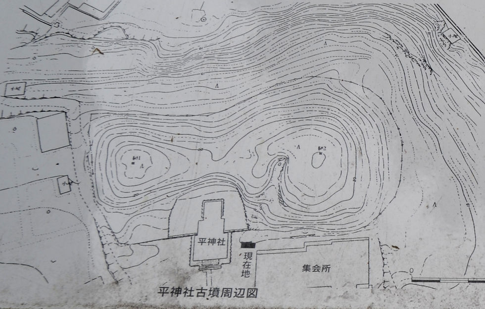 実測図