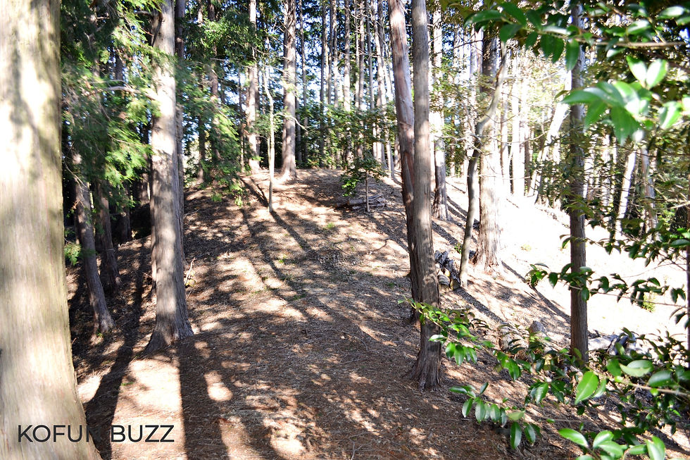 前方部から後円部