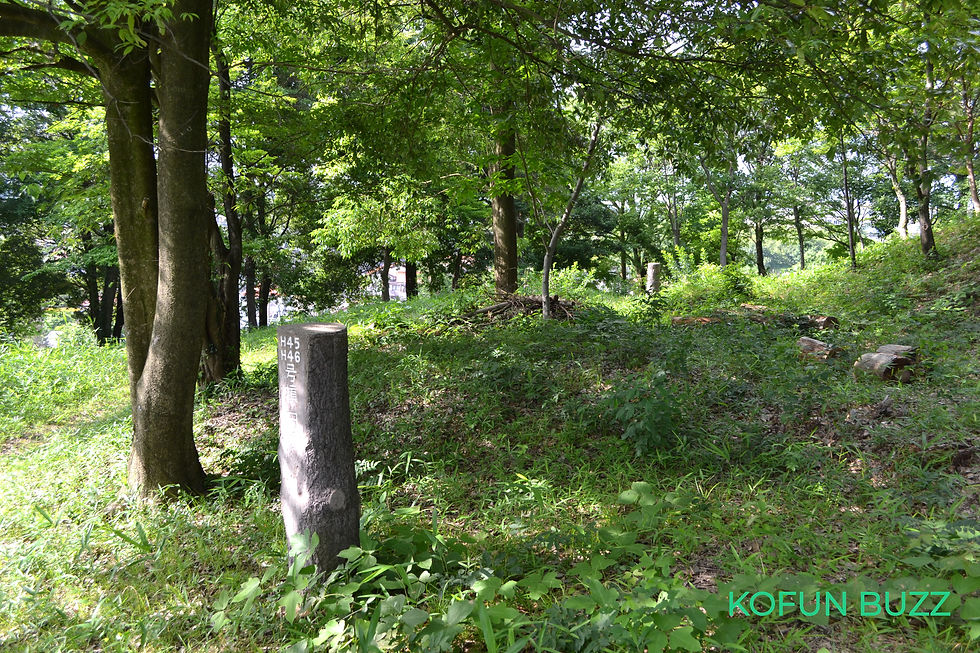 45号・46号墳 円墳