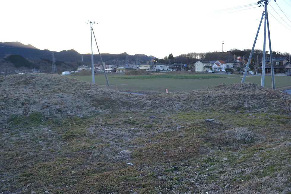 横から くびれ部