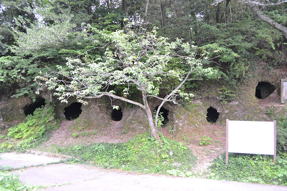 横穴墓群　遠景