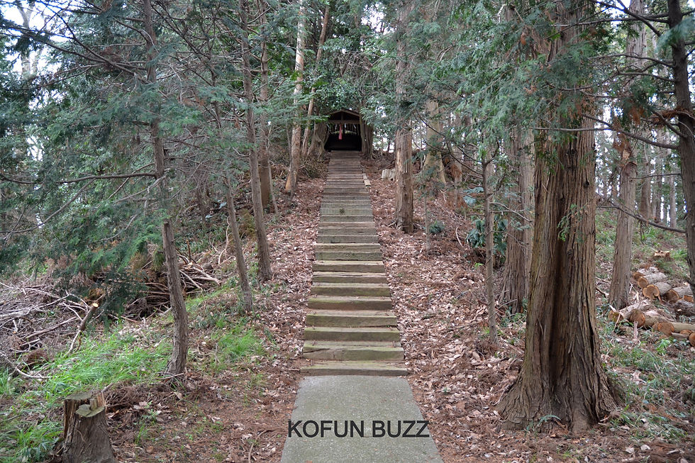 前方部から後円部