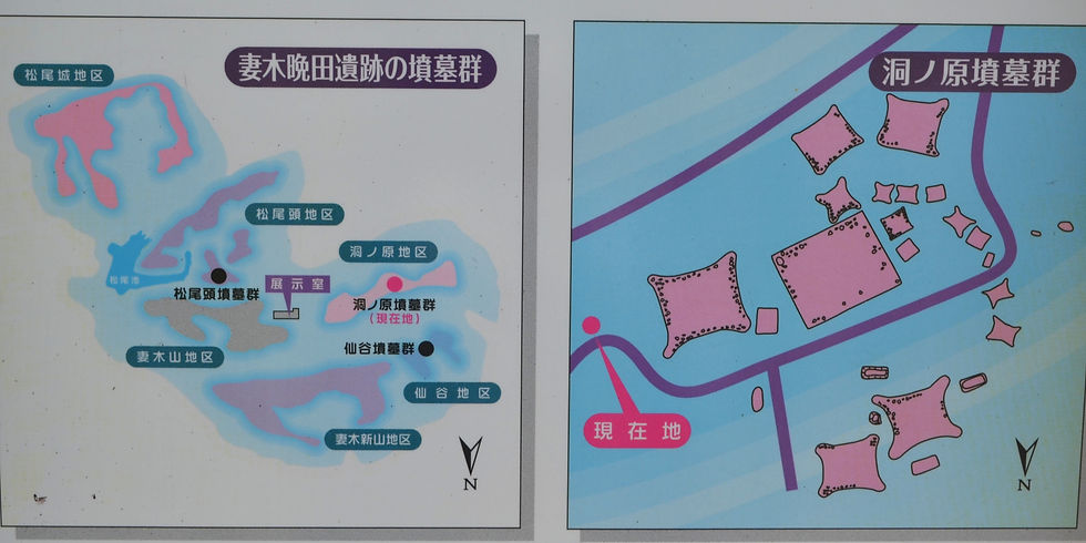 弥生墳丘墓群分布図
洞ノ原古墳群配置図
