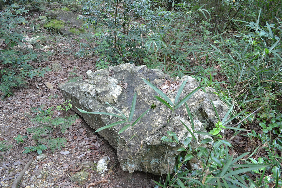 ４号墳　石室石材