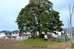松塚古墳群