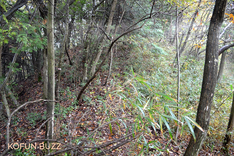 前方部から後円部