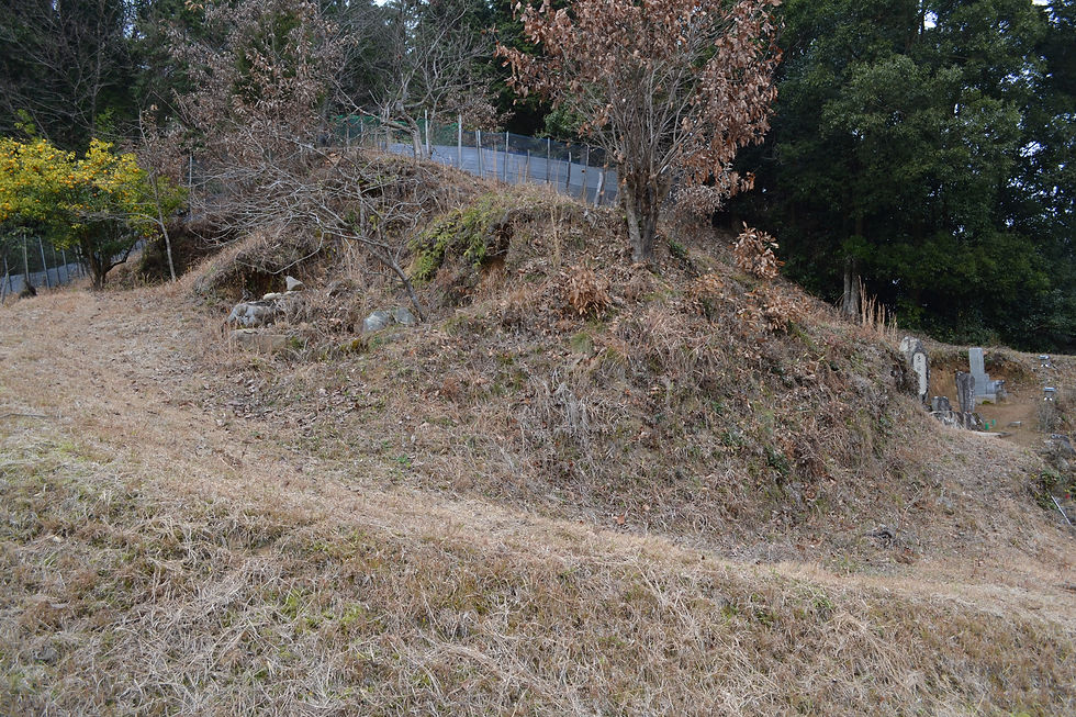 仮8号墳