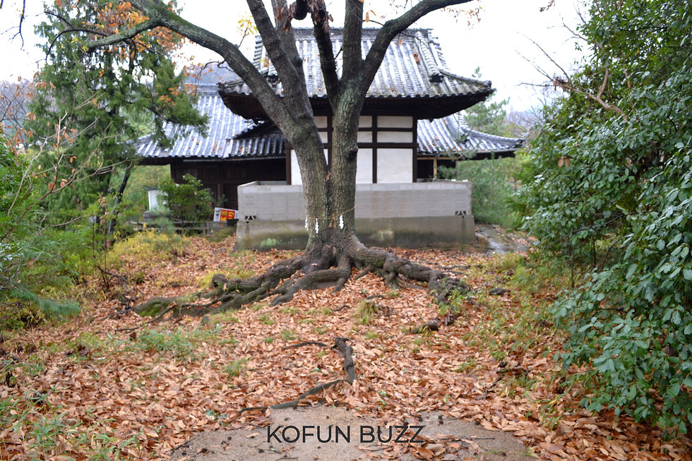 前方部から後円部