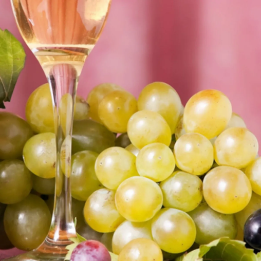 ¿Cuáles son los beneficios de incluir las Uvas en nuestra dieta?