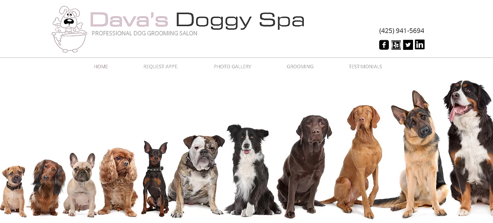 Dava's Doggy Spa