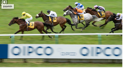 Far Above 2016 Colt (Sire)