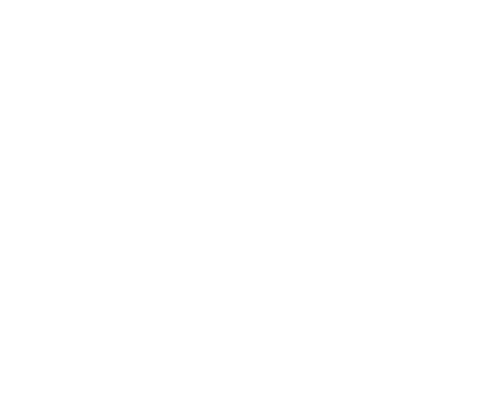 NIV Logo - White