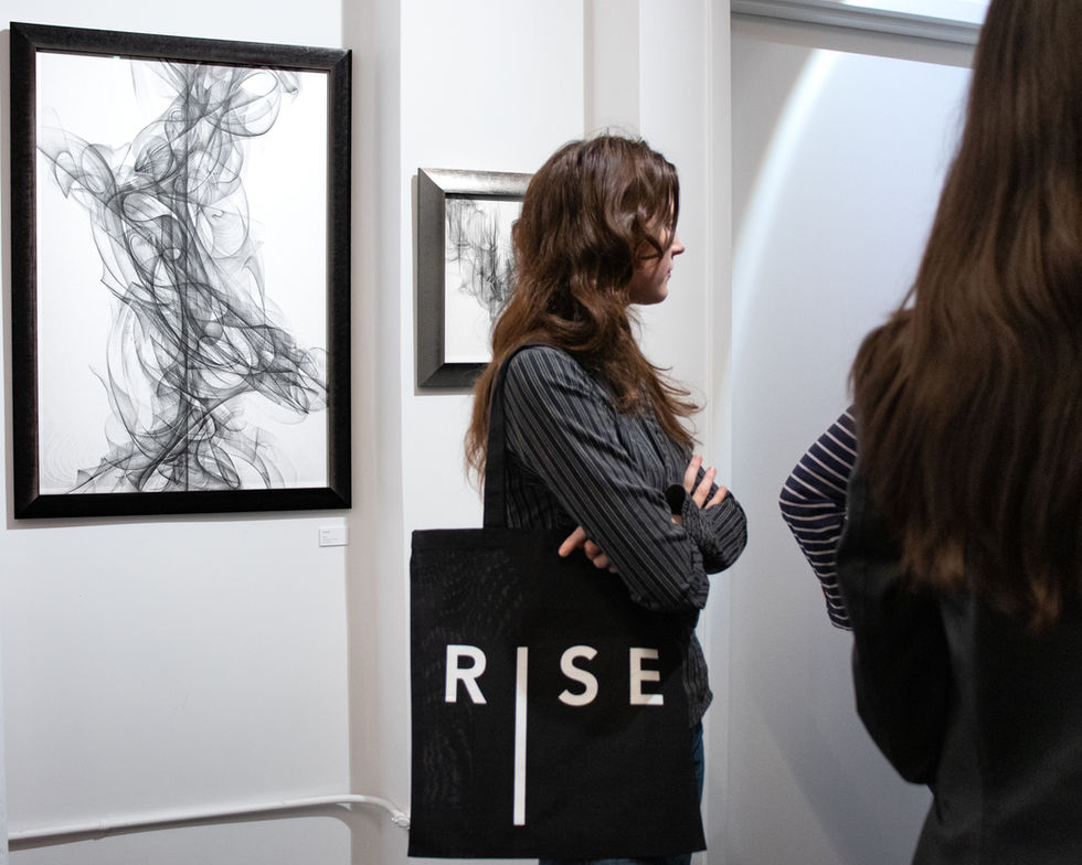 Lucienne Mettam's Exhibition at Rise Projects
