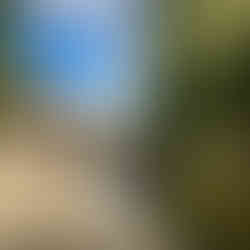 Le village de Moret-sur-Loing