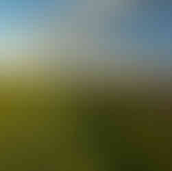 La Roche-Torin : point de vue sur le Mont Saint Michel