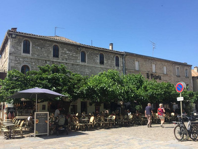 Aigues-Mortes en Camargue avec Green-Van