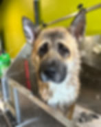 IMG_20260228_153403~3