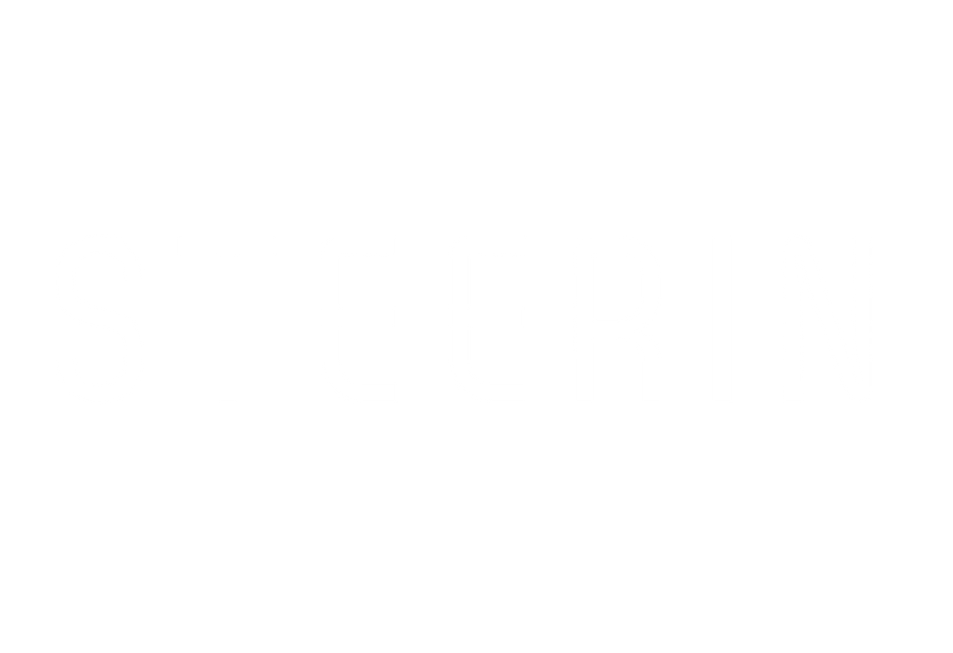 STEERIN_Logo_v1 (1).png