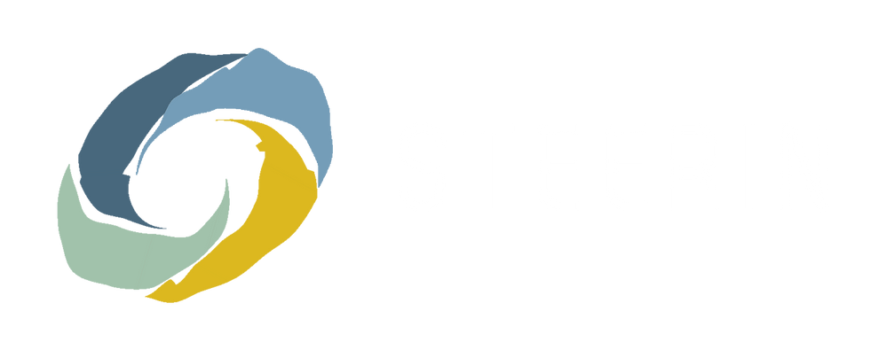 STEERIN_Logo_v1 (1).png