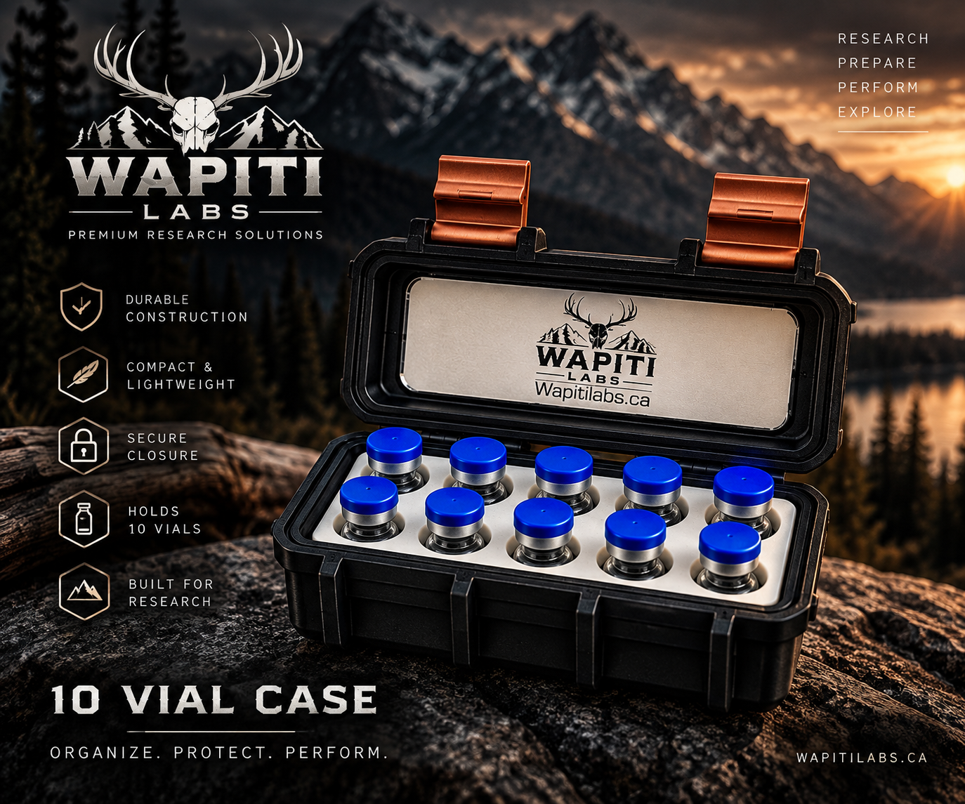 10 vial case