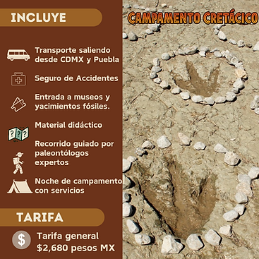 Campamento instagram (1).png
