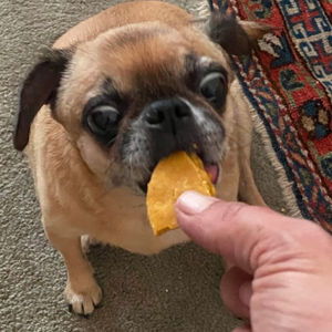 Sky is a big fan of Dog Pawtisserie and we're a big fan of her!