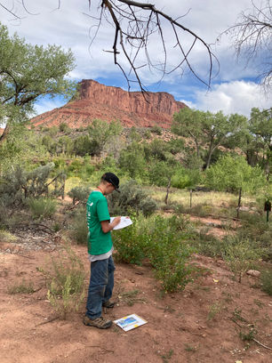 Copy of IMG_6880.JPG