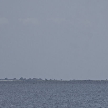 Ostsee mal anders erleben: Revierführer 2.0
