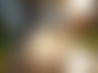 Enhancing Home Value in Greenville SC Through Pressure Washing