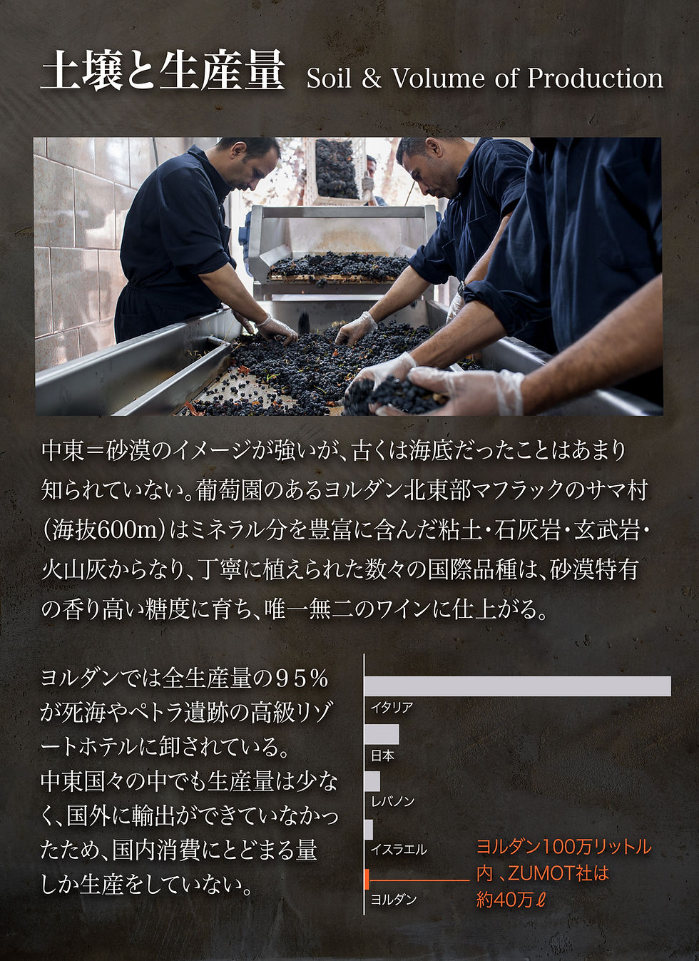サムネイル： 【Terroir Expression】Shiraz