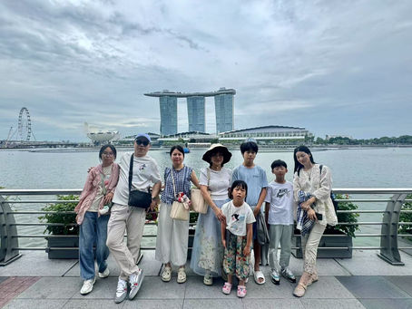 Exploring TravelD2D Cross-Border Service