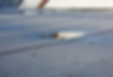 photo of a roof with ponding water in pools