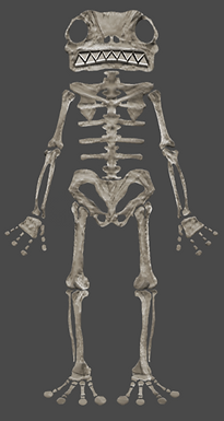 Screenshot 2026-01-24 213156.png