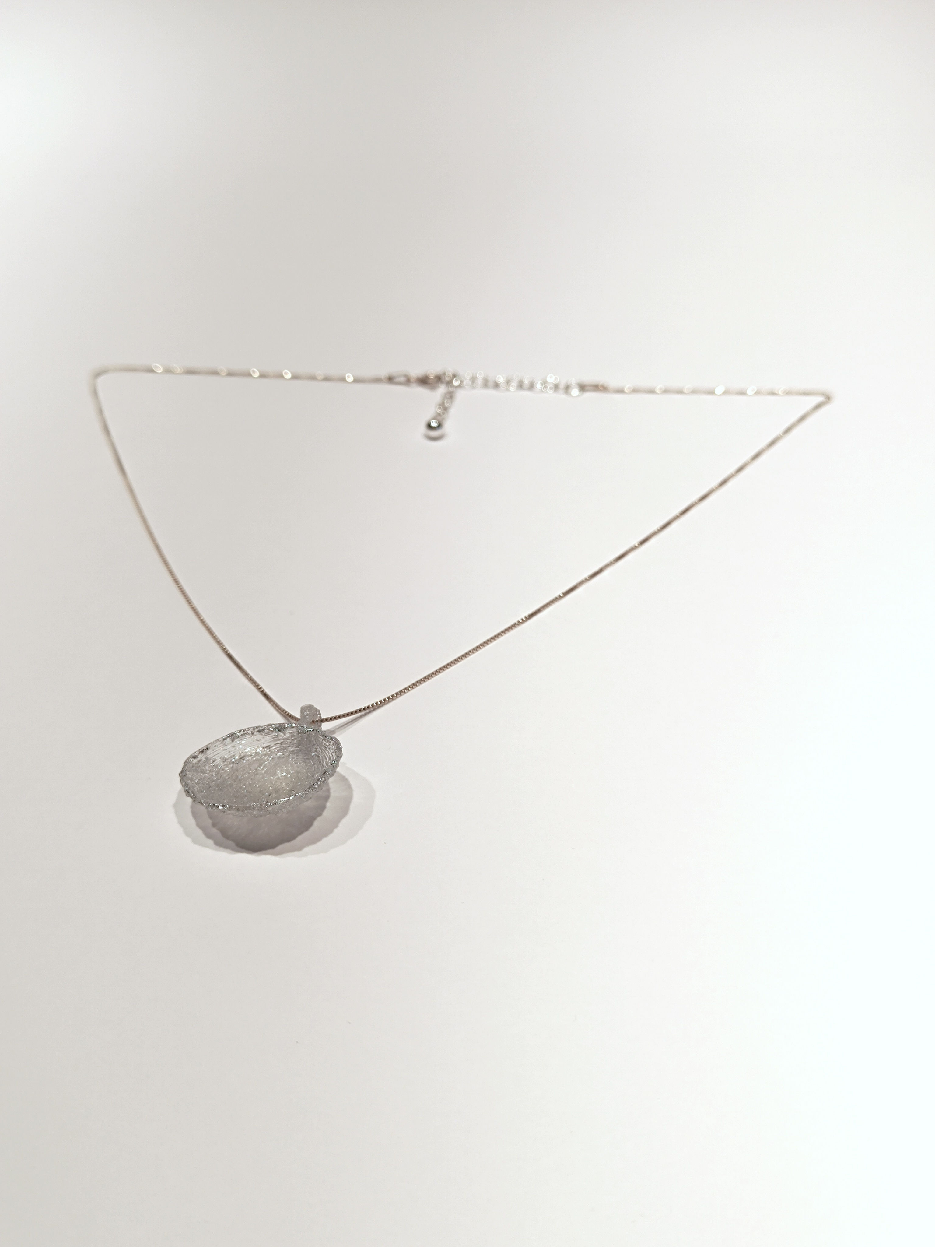 Shell - small (transparent)