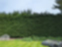 Garden and Estate Maintenance