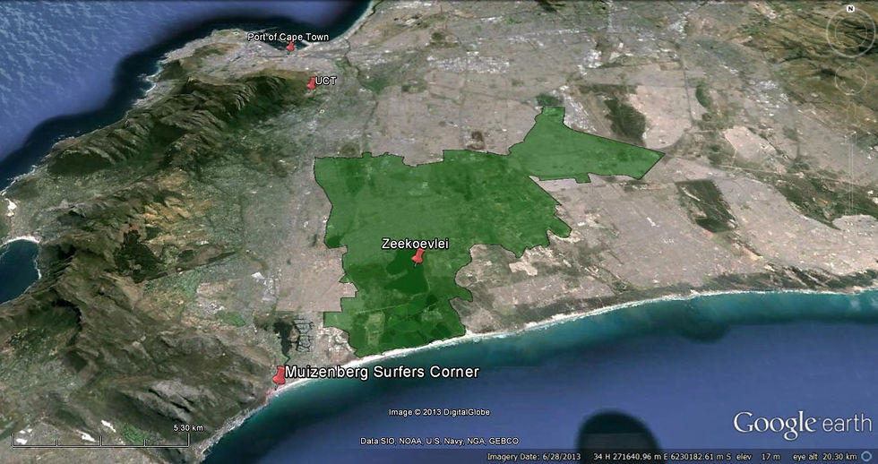 Lotus River Catchment