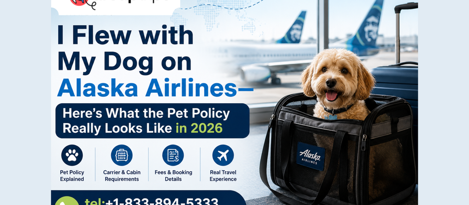 I Flew with My Dog on Alaska Airlines—Here's What the Pet Policy Really Looks Like in 2026
