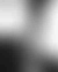 สูทสำหรับเจ้าบ่าว LGBTQ+ จาก Basic Instinct ดีไซน์ที่แสดงตัวตนและความภาคภูมิใจ