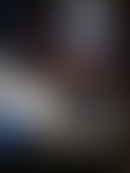 ผ้า VBC (Vitale Barberis Canonico) – Ultimate Guide