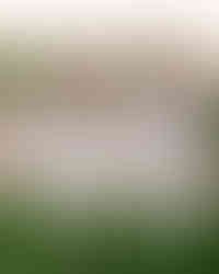 สูทสำหรับเจ้าบ่าว LGBTQ+ จาก Basic Instinct ดีไซน์ที่แสดงตัวตนและความภาคภูมิใจ