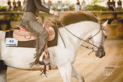 LM Westernreiter Fabiola Pühringer