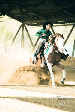 LM Westernreiter Fabiola Pühringer