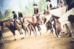 LM Westernreiter Fabiola Pühringer