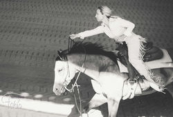 LM Westernreiter Fabiola Pühringer