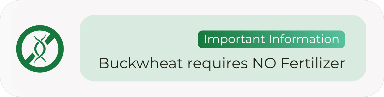 Buckwheat Association of Zimbabwe 2.png