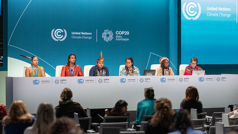 COP29: $300 billion deal sets $1 trillion target for private sector