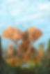 silverthornshotBIG.jpg