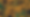 Shine on Twitter Post.png