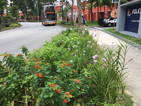 Best Step Forward in 2018